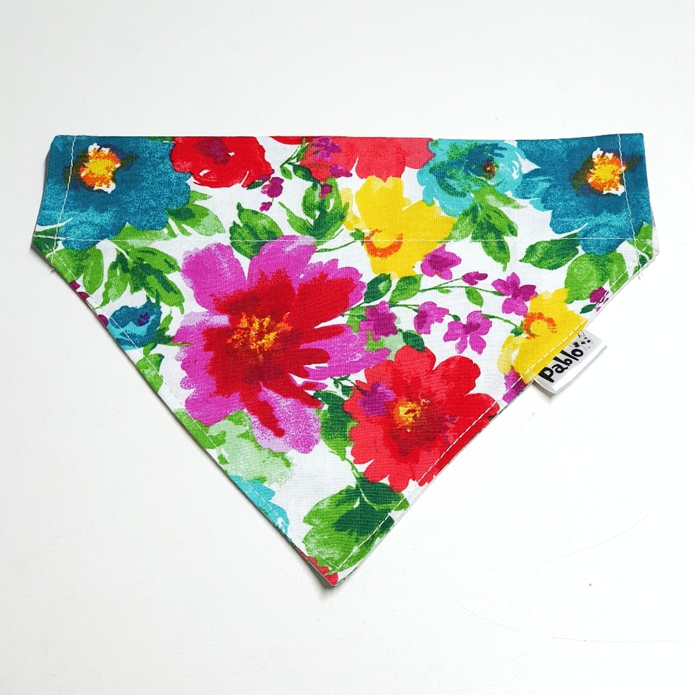🐶 5 for $15 * Pablo Reversible Floral Dog Bandana